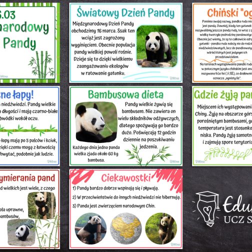 Międzynarodowy Dzień Pandy - zestaw!
