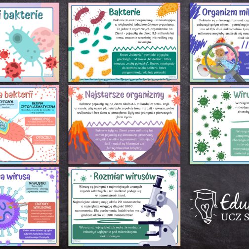Wirusy i bakterie - gazetka
