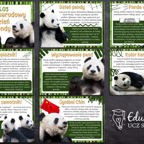 Międzynarodowy Dzień Pandy - gazetka